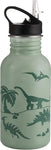 Typhoon Pure 550 ML Stainless Steel Colour Change Drinks Bottle, condition new