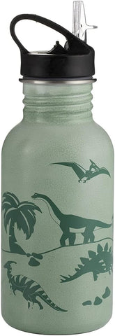 Typhoon Pure 550 ML Stainless Steel Colour Change Drinks Bottle, condition new