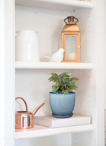Oairse 4.7"/12CM Ceramic Plant Pot Indoor, condition new but saucer missing and only 12 cm pot