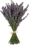 TooGet Natural Lavender Bundles, 200+ Stems, condition new, open box