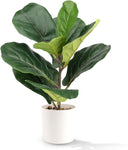 TonJin 40cm/16inch Artificial Plant Indoor