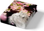 Horse Duvet Cover Set White Palomino Horse Decor Bedding Set Single Size- new but missing original packaging