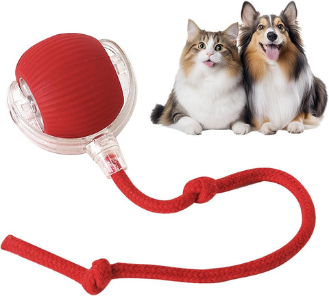 Eptchn interactive dog ball, rechargeable electric cat toy ball- scruffy packaging- tested