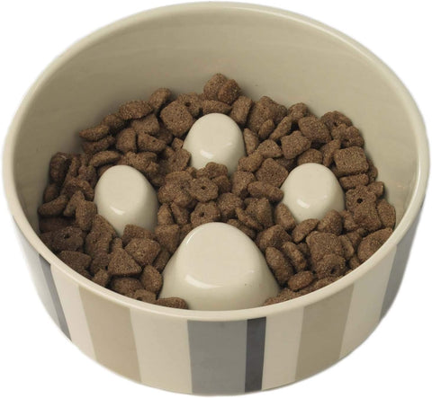 PetRageous 12017 Metro Slowfeed Dog Food Bowl with 4-Cup Capacity