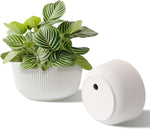 T4U 8 Inch Self Watering Planters, Plant Pots for Indoor and Outdoor Use, Set of 2, White- new but open/scruffy box