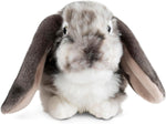 Living Nature Grey Dutch Lop Eared Rabbit Plush Toy, New, scruffy packaging