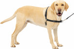 PETSAFE Easy Walk Dog Harness, Medium, Black- slightly damaged pack