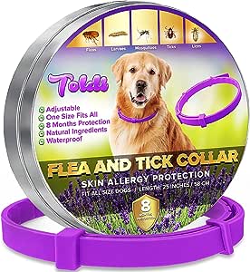 Toldi flea and tick collar | Skin allergy protection | Adjustable - 1 size | Purple |- expiry 11/24 - (ref E414)