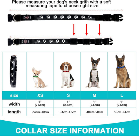 Dog Light Up Collar Rechargeable, size XS, no box, small damage on collar