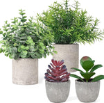 AlMuflihoon Fake Plants Set of 4 Artificial Plants Indoor Mini Pot Faux Plant new but scruffy box