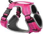 Embark Sports No Pull Dog Harness with 2 Leash Clips, Medium, Pink- scruffy packaging