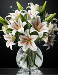 DBCMEW 6PCS Artificial Lilies Set , used -very good condition