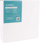 Exerz 30x30cm Framed Canvas 5pk - 1.7cm Pre-Stretched New but one is damaged