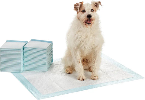 Amazon Basics Dog and Puppy Training Pads, Leakproof, X-Large, Pack of 40, Blue, open box, taped