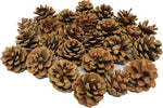 Bright Ideas Natural Pine Cones PK25 4-6cm Ideal for Kids' Arts and Crafts , new , open -scruffy box