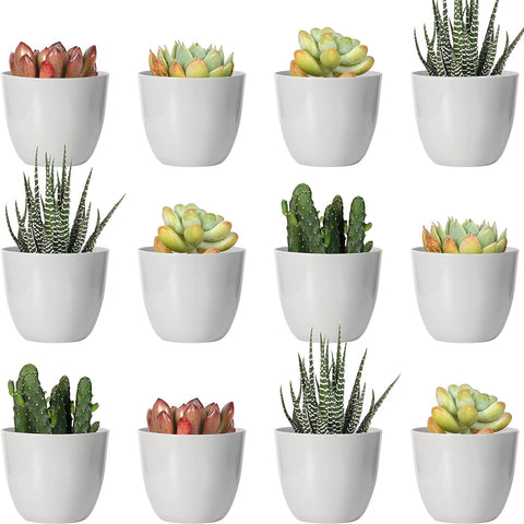 Youngever 24 Pack 5CM Mini Plastic Planters, new, open/scruffy box