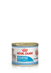 Royal Canin Starter Mother & Babydog 1-2 months 195g - best before 28/07/25 - dented tin