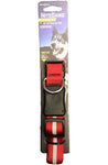 Nite Ize Unisex's Nite Dawg Led Dog Collar M red ( tg2-1)