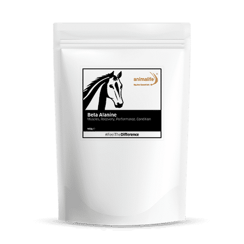 Animalife equine essentials beta alanine 900g dirty packaging ( ref tg2-1) best before 10/24