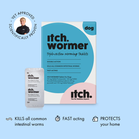 Itch Wormer Tablets for Dogs broken box best before 03/29